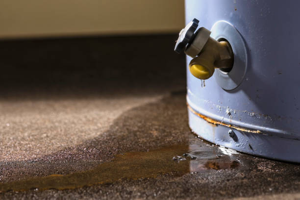 Best Water damage contractors near me  in Pine Mountain, GA
