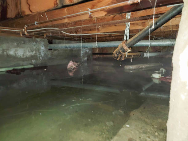 Best Flooded house restoration  in Pine Mountain, GA