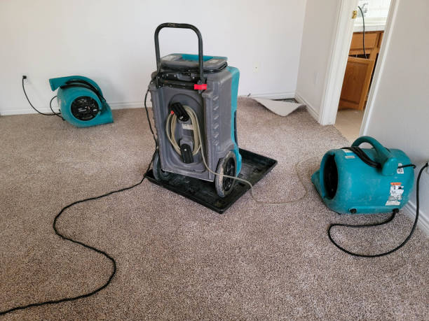 Best Carpet water damage restoration  in Pine Mountain, GA