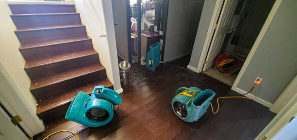 Best Residential water damage restoration  in Pine Mountain, GA