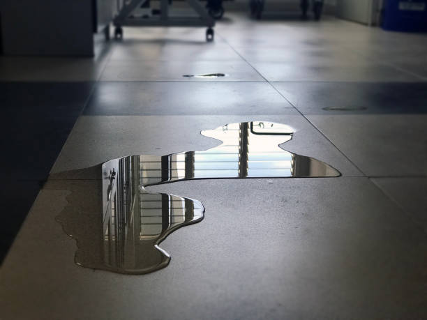 Best 24-hour water damage restoration  in Pine Mountain, GA