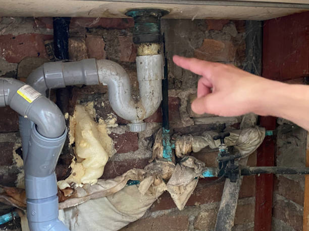 Best Ceiling water damage repair  in Pine Mountain, GA