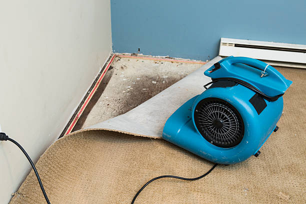 Best Water damage cleanup near me  in Pine Mountain, GA